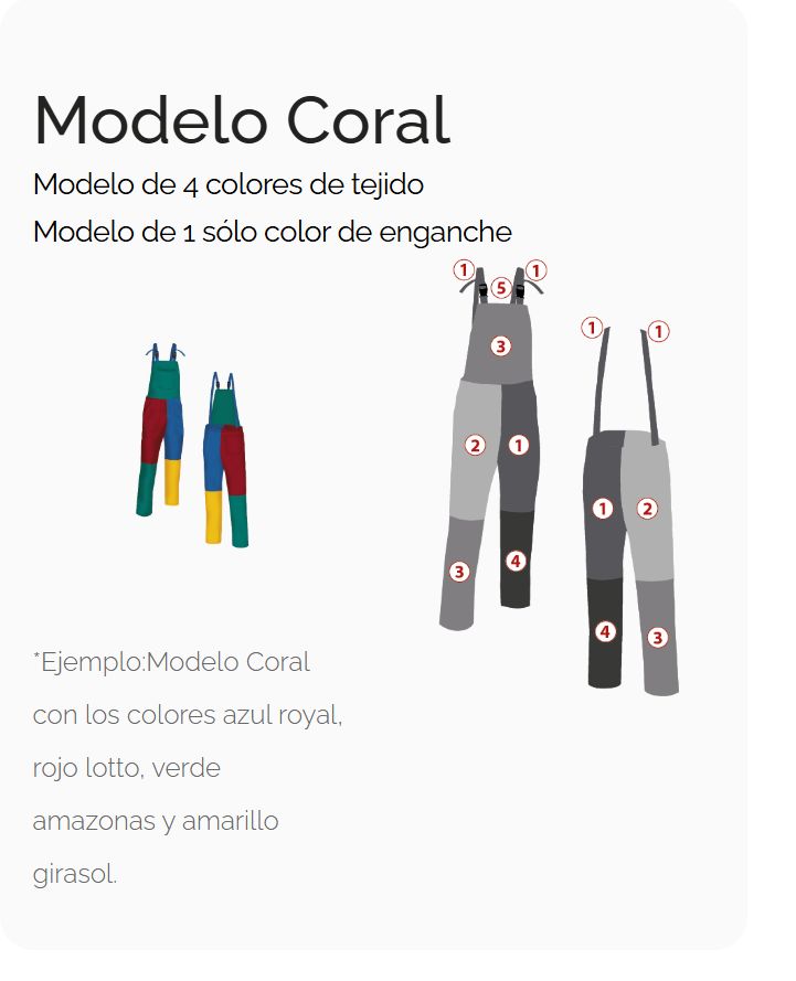 MODELO CORAL